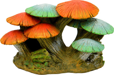 Exotic Envvironments Mushroom Garden