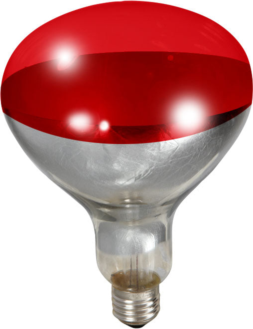 Little Giant Red Heat Lamp Bulb