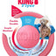 Kong Puppy Flyer, 7", Colors vary