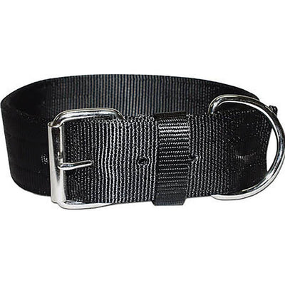 Bravo 2 Ply Nylon Dog Collar