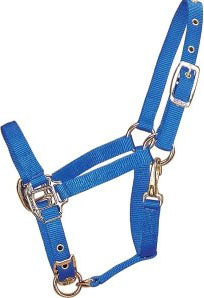 Premium Halter Chin W/Snap