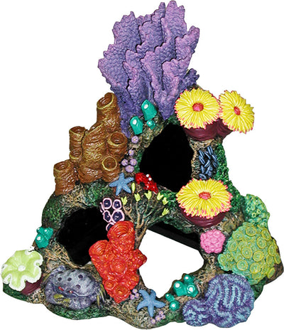 Exotic Environments Indonesian Reef Cavern