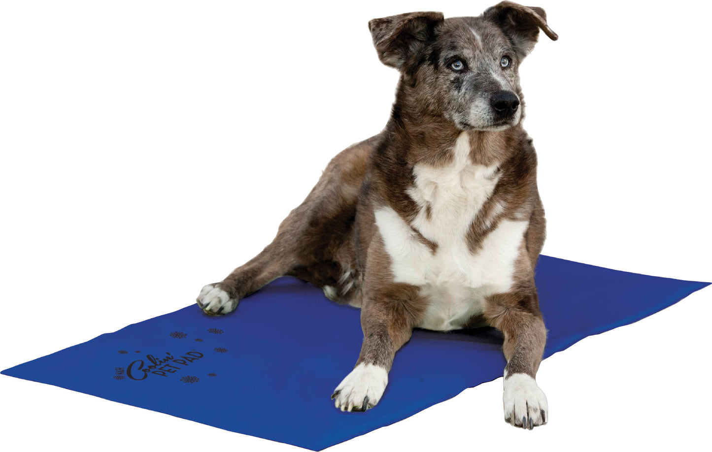 K&H Coolin' Pet Pad