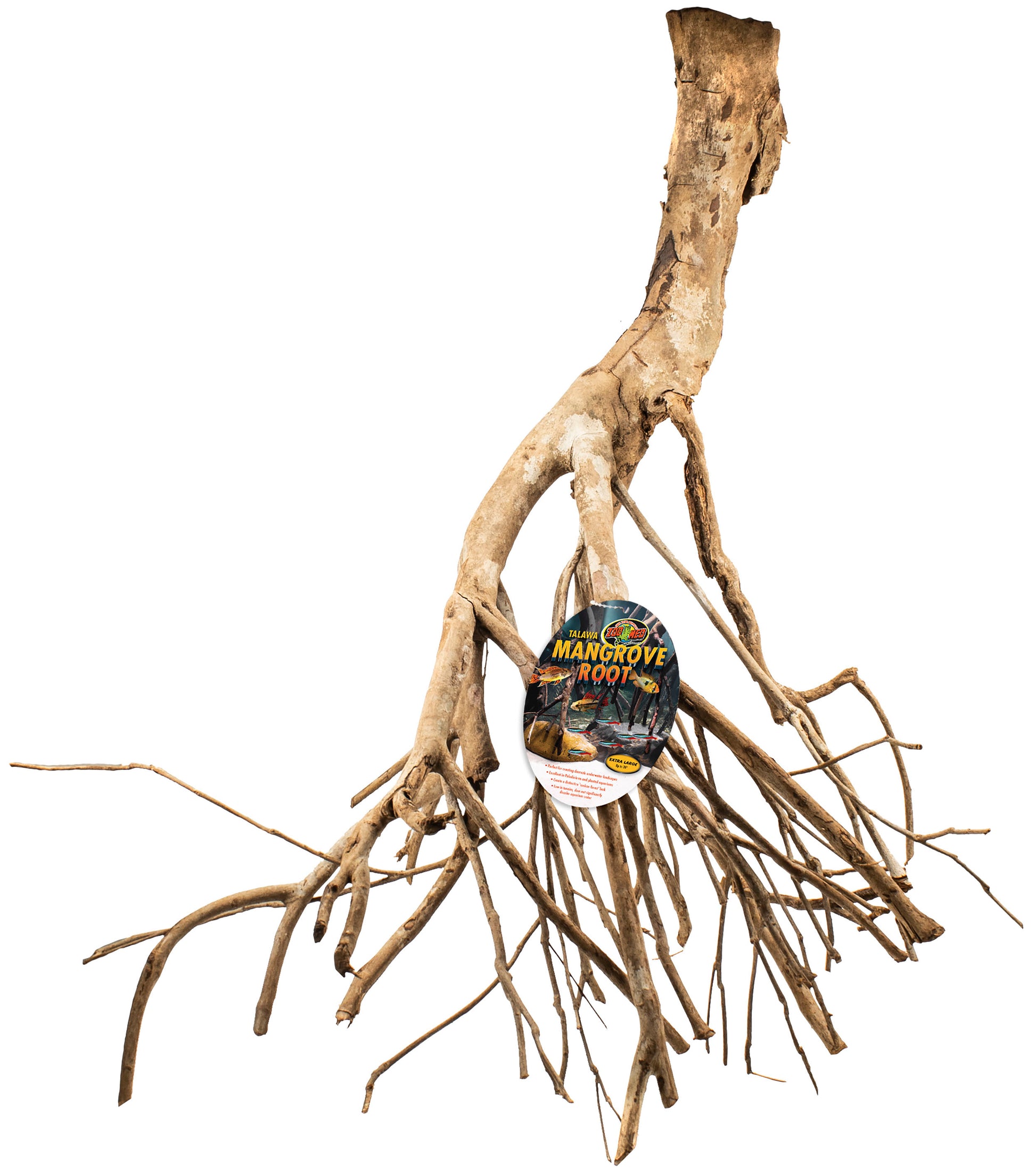 Talawa Mangrove Root