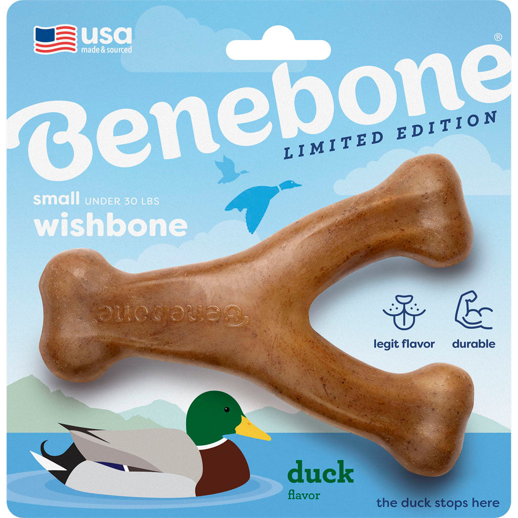 Benebone Limited Edition Wishbone