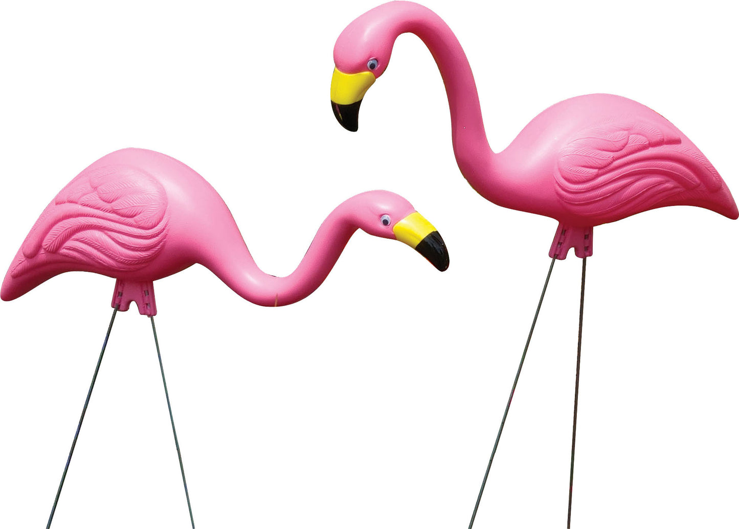 Bloem Pink Flamingo