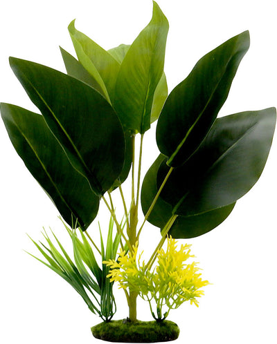 Tropical Gardens Bird Of Paradise