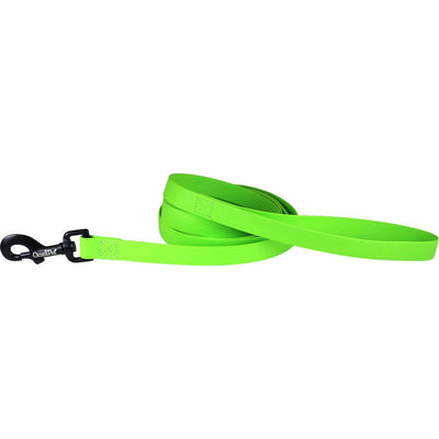 Carnival Biothane Dog Lead