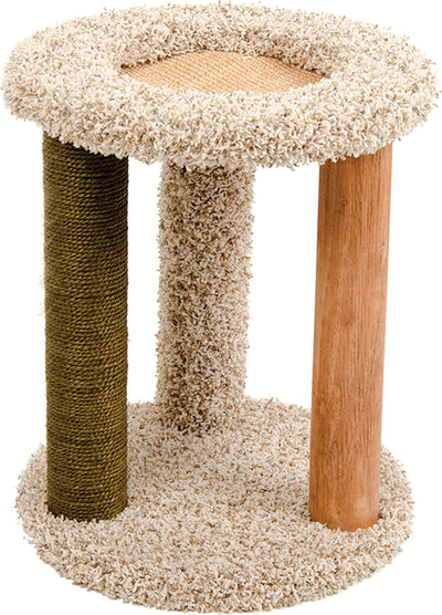 Kitty Carpet Playground-N-Lounge