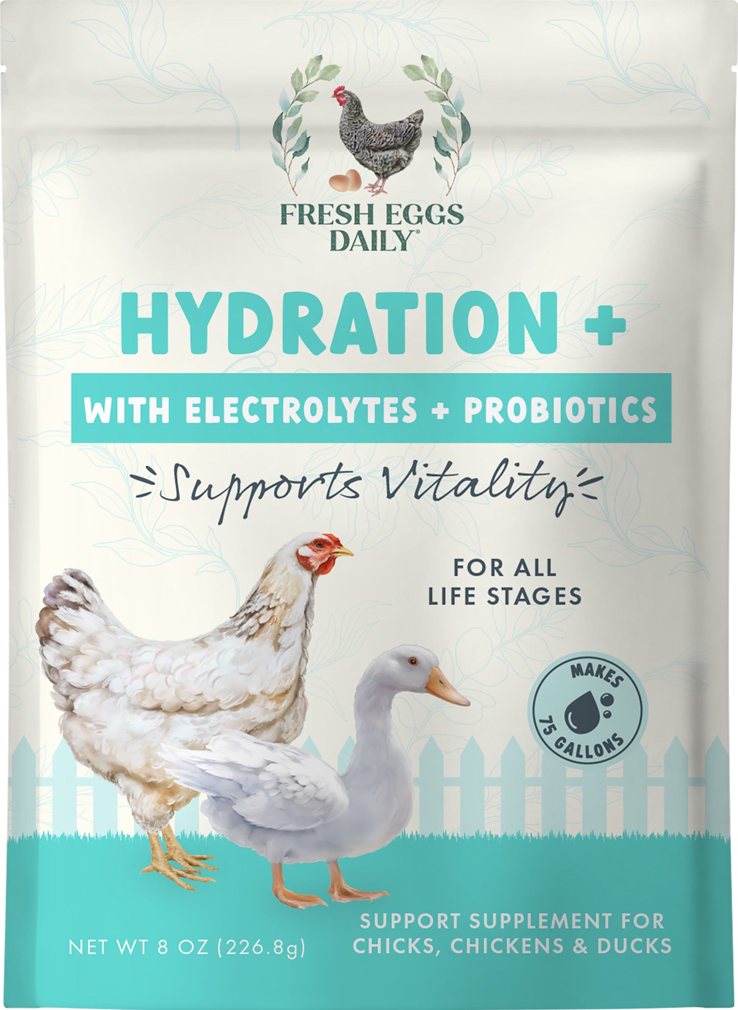 Fresh Eggs Daily Hydration + Electrolytes