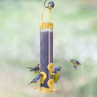 Classic Plastic Finch Feeder