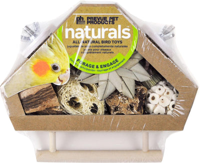 Corner Bird Box W/ Perch