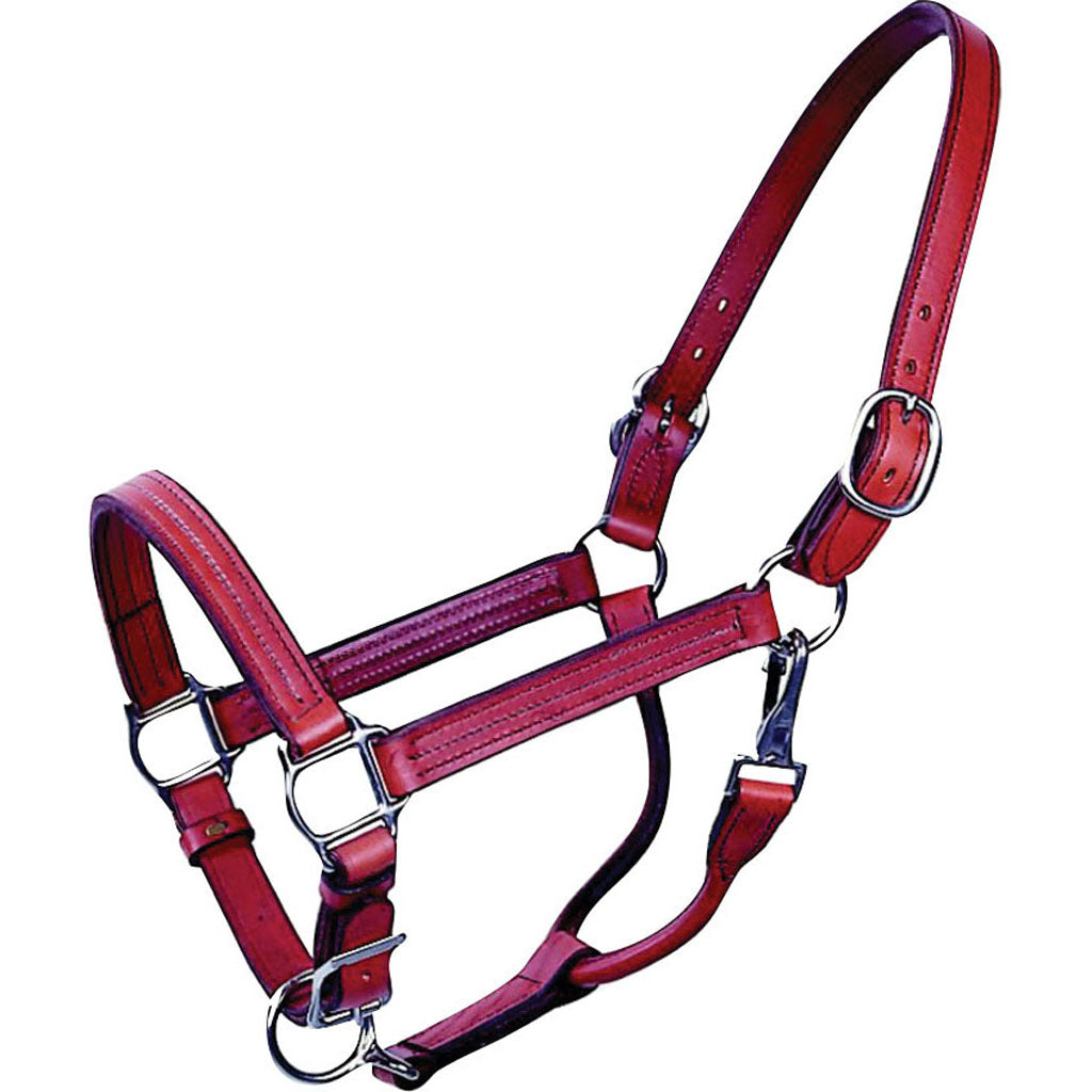 Beiler'S Track Halter