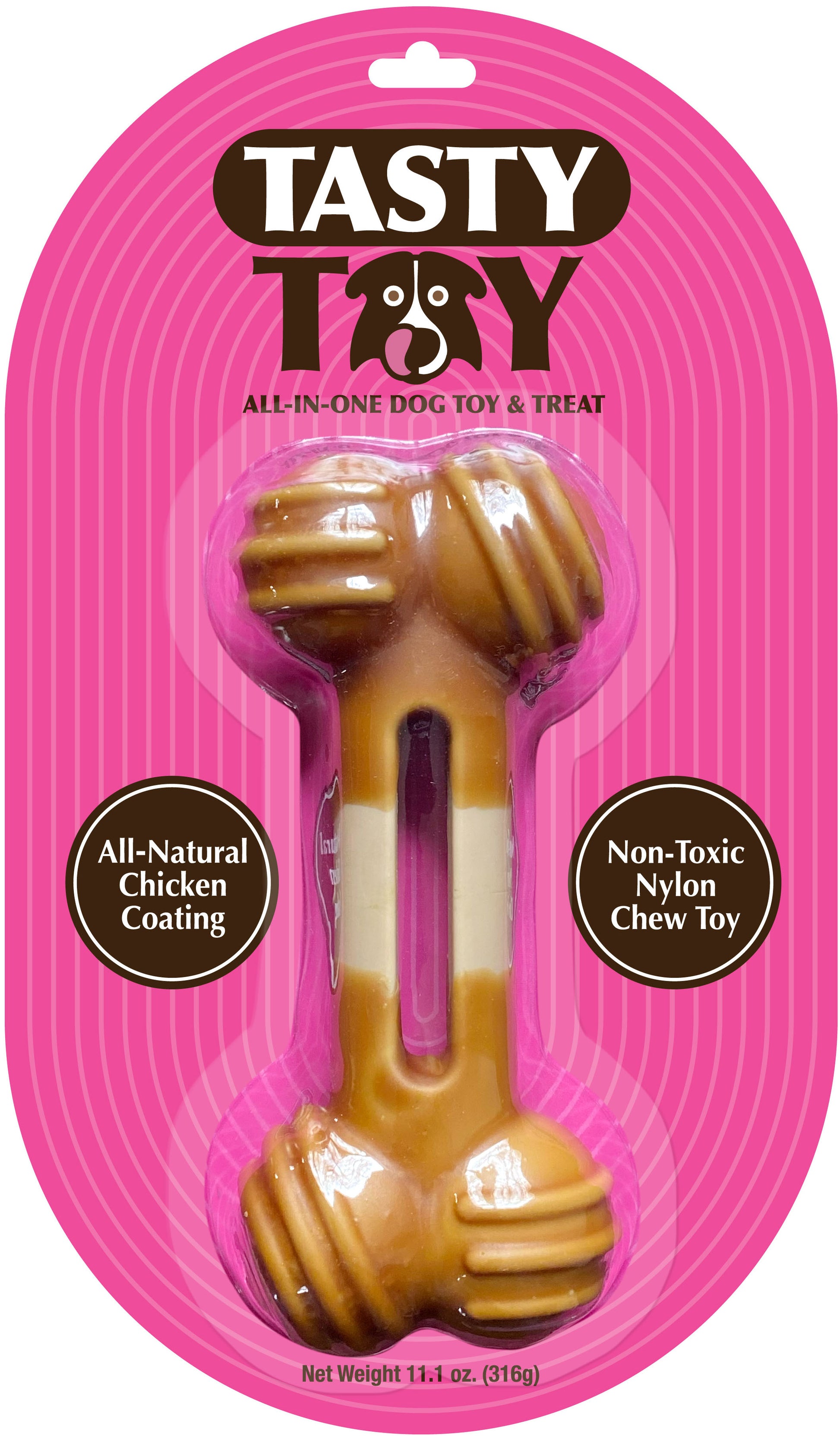 Tasty Toy Bone Dog Chew Toy