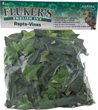 Repta Vine English Ivy