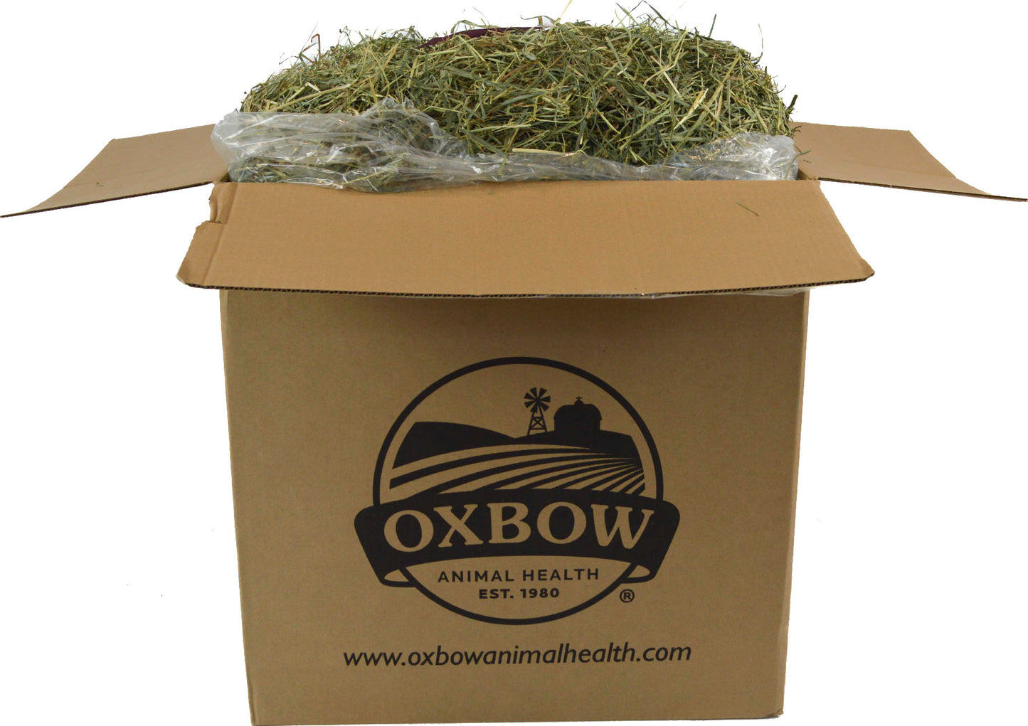 Oxbow Orchard Grass