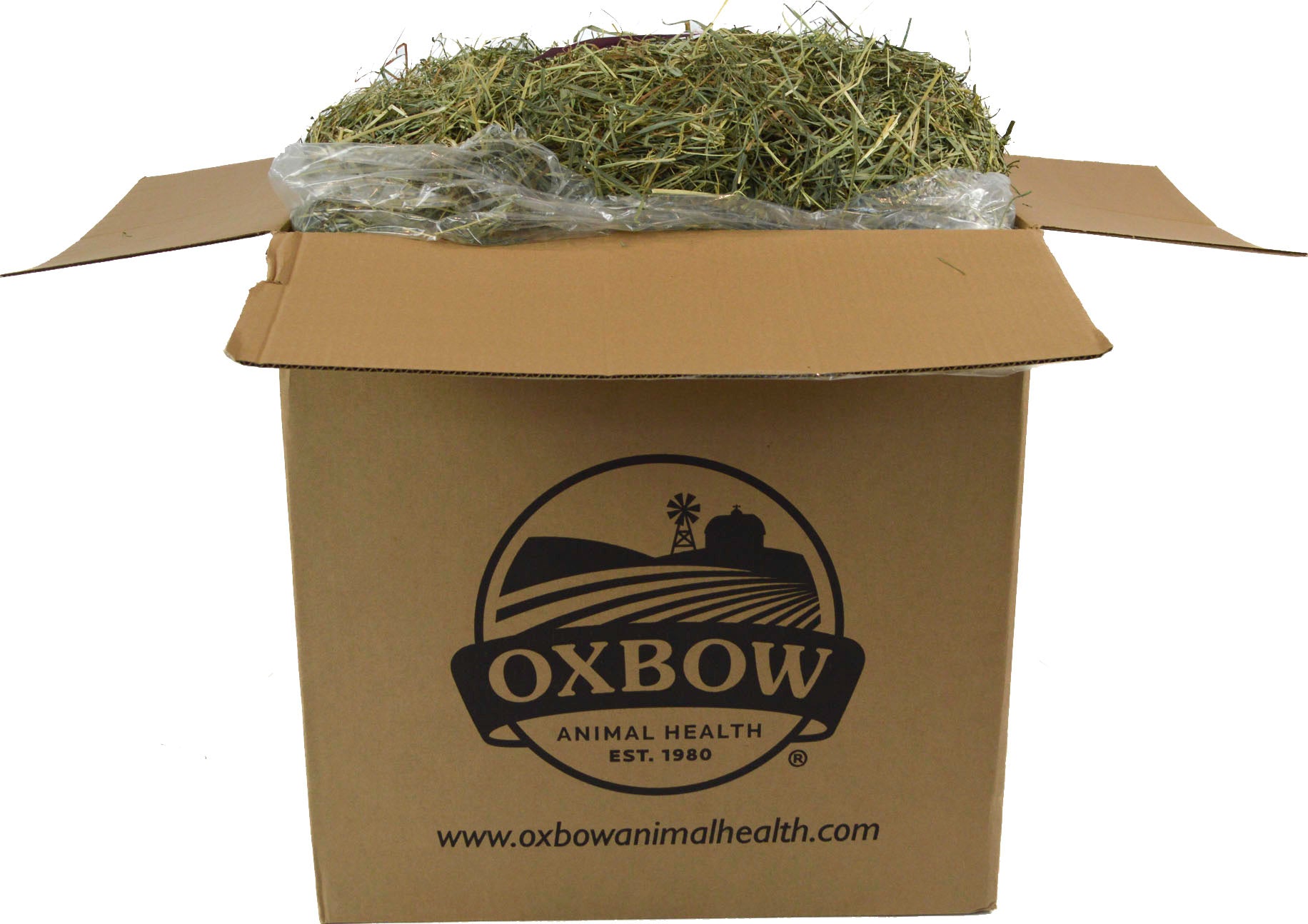 Oxbow Orchard Grass