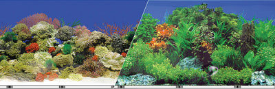 Double-Sided Garden/Carribbean Coral Background