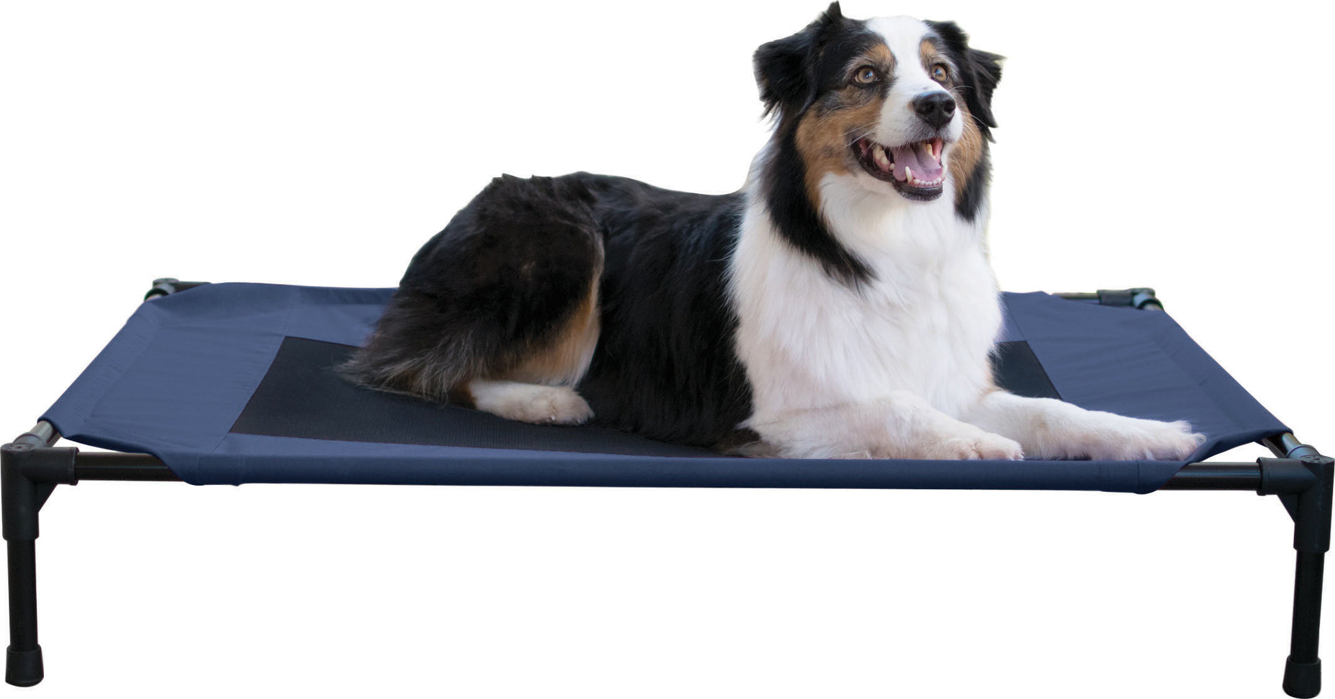 Creative Solutions Elevated Pet Bed