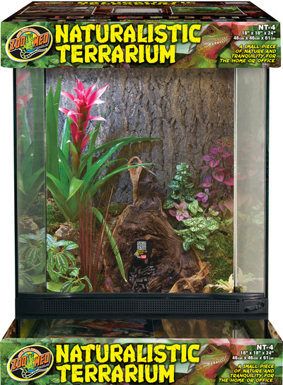 Naturalistic Terrarium