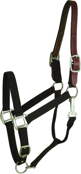 Gatsby Nylon Breakaway Halter
