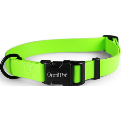 Carnival Biothane Dog Collar