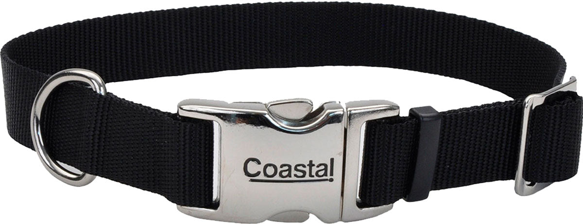 Adjustable Dog Collar W/ Metal Buckle