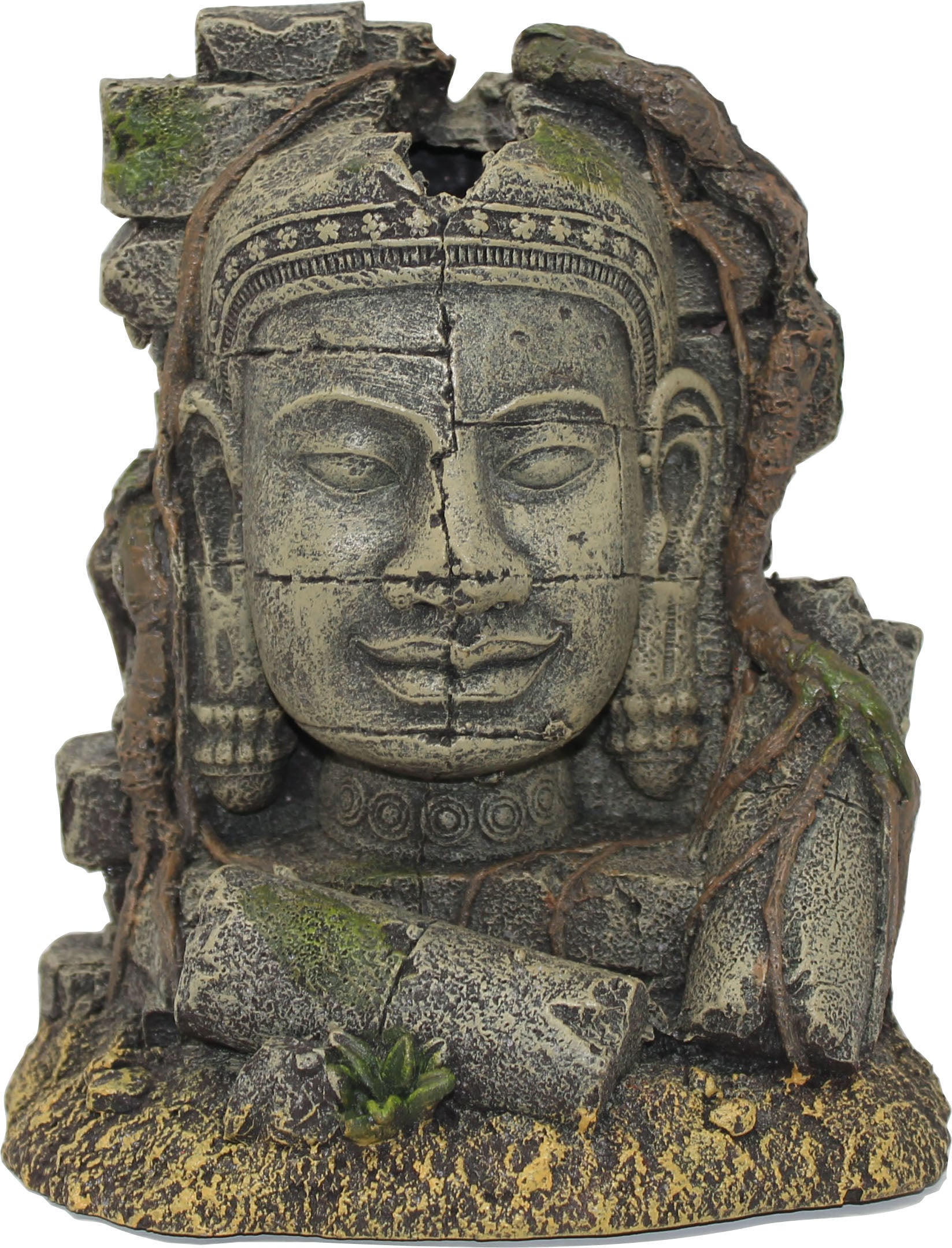 Exotic Environments Ancient Stone Head Ruin
