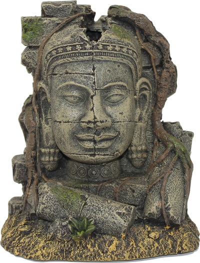 Exotic Environments Ancient Stone Head Ruin