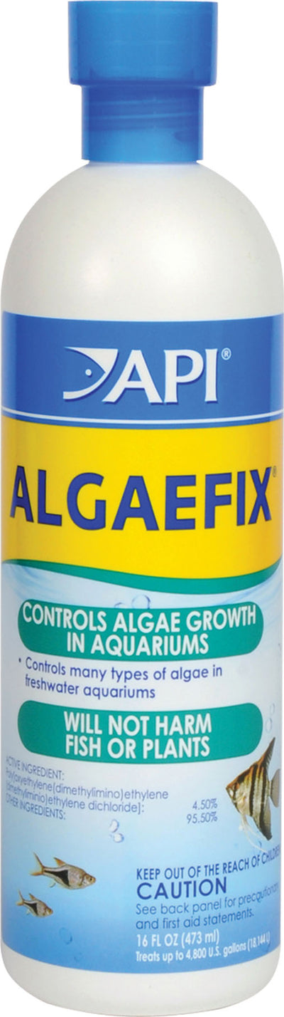 Api Algaefix