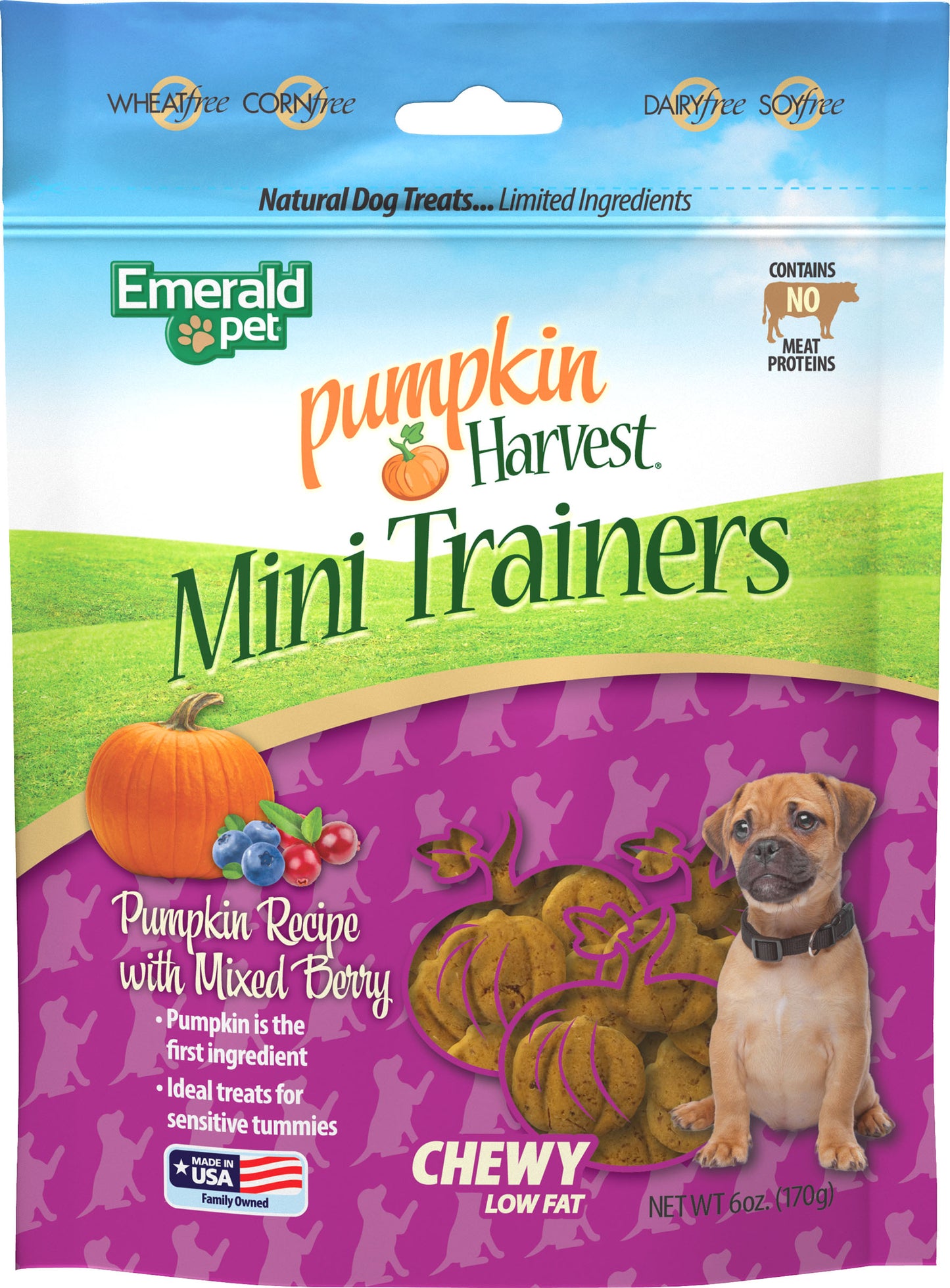 Emerald Pet Pumpkin Harvest Trainers Chewy Dog Tre