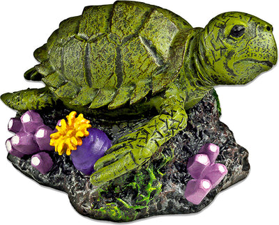 Exotic Environments Sea Turtle