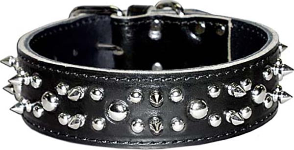Latigo Leather Spike/Stud Dog Collar