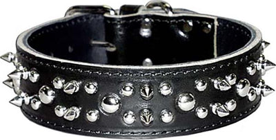 Latigo Leather Spike/Stud Dog Collar