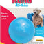 Kong Puppy Ball, Small, Colors vary