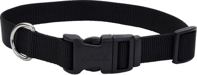 Adjustable Dog Collar W/ Plastic Buckle