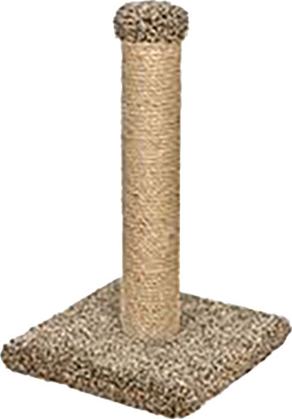 Scratching Post