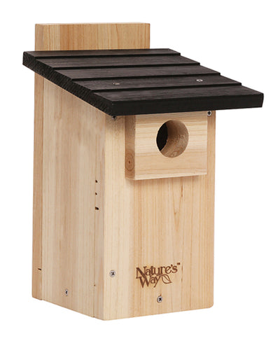 Bluebird House W/Viewing Window
