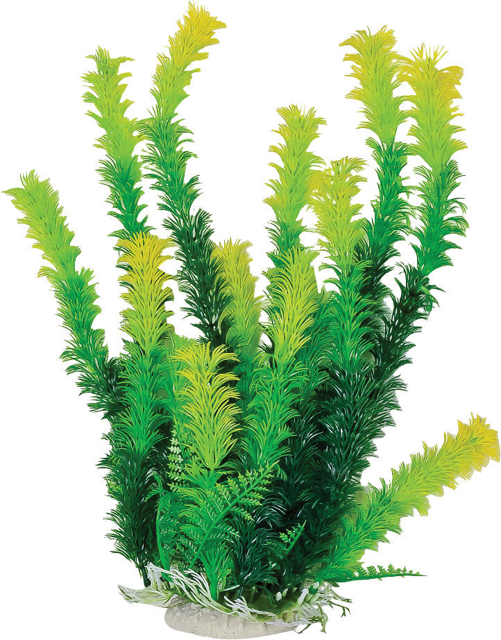 Bushy Weighted Aquarium Plant