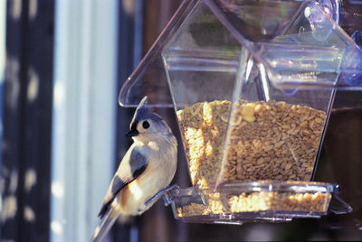 Window Cafe Bird Feeder