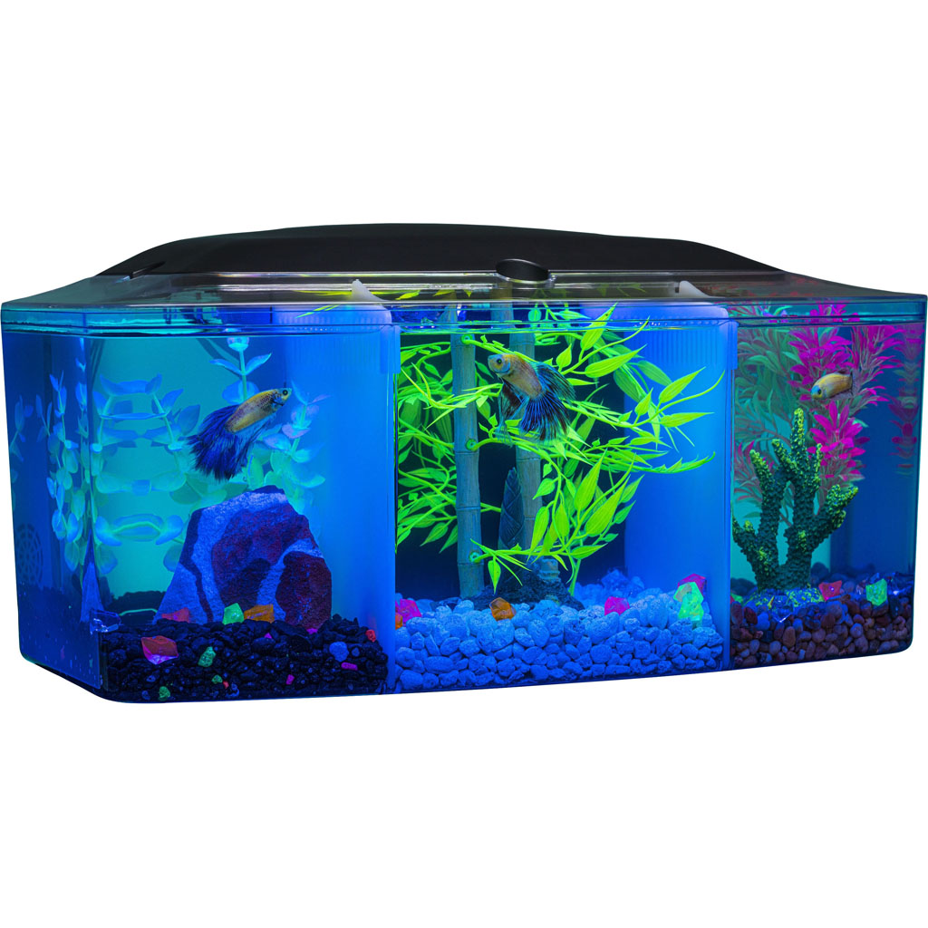 Glofish Betta Trilogy Aquarium