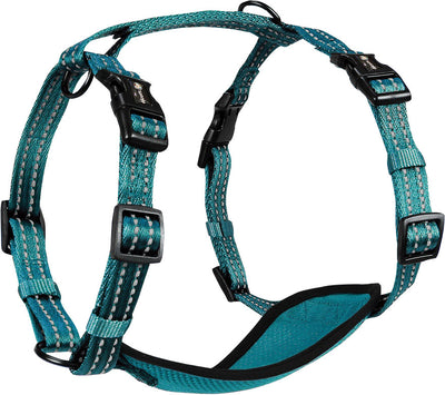 Alcott Adventure Harness