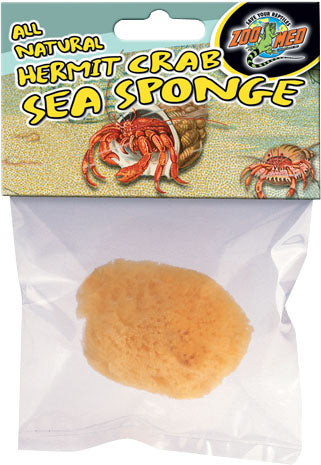 All Natural Hermit Crab Sea Sponge