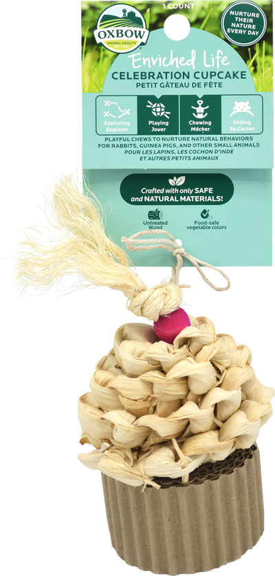 Enriched Life Celebration Cupcake