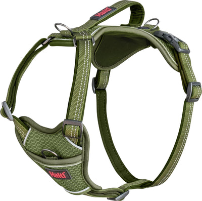 Halti Anatomy Harness