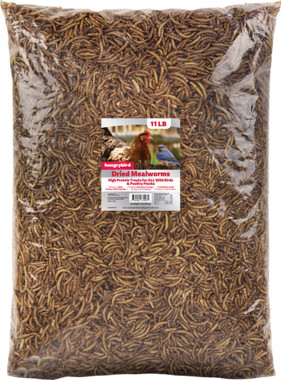 Hungrybird Dried Mealworms