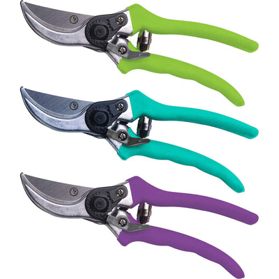Bloom Bypass Pruner