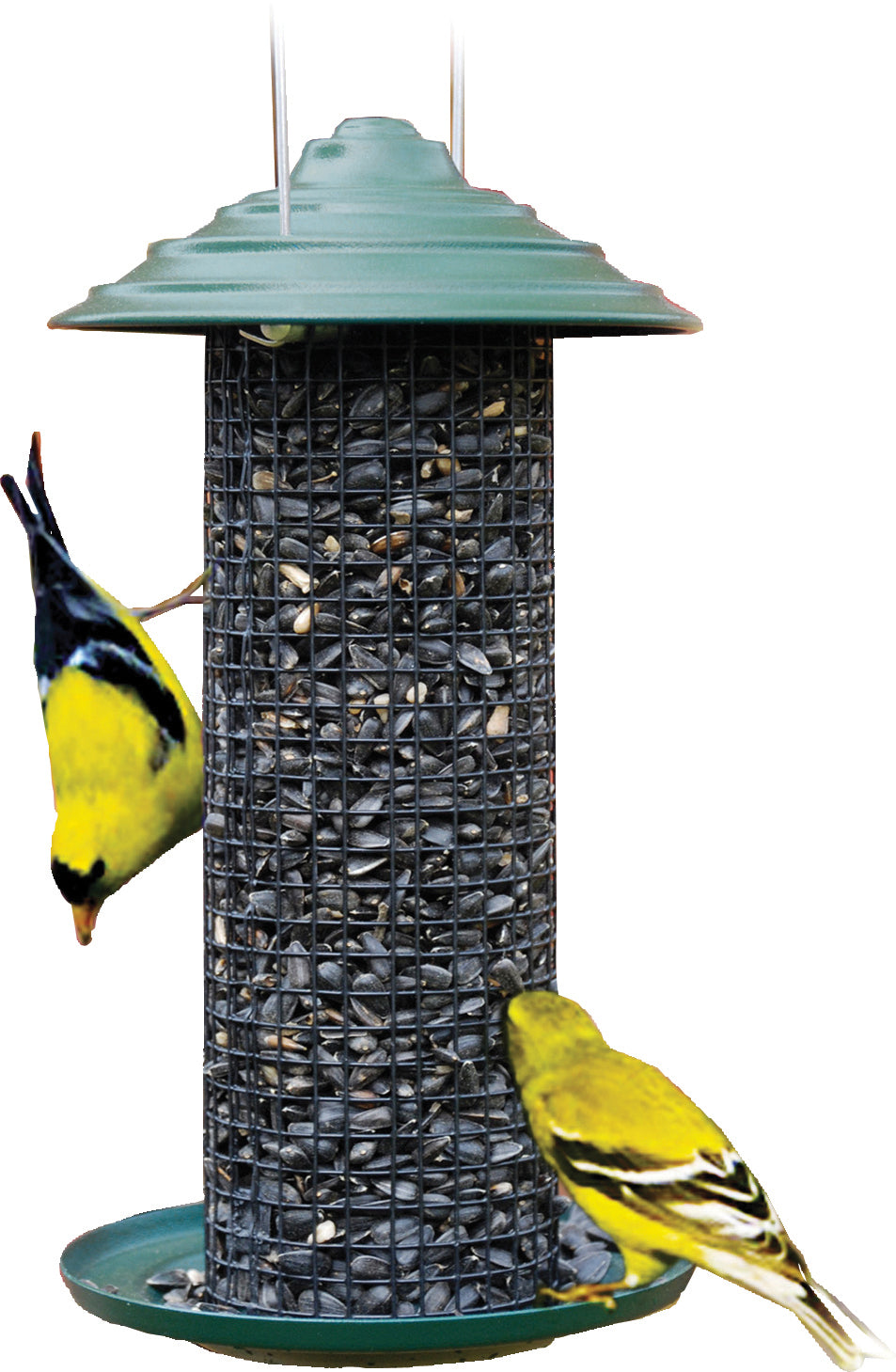 Mini Magnum Metal Sunflower Seed Screen Feeder
