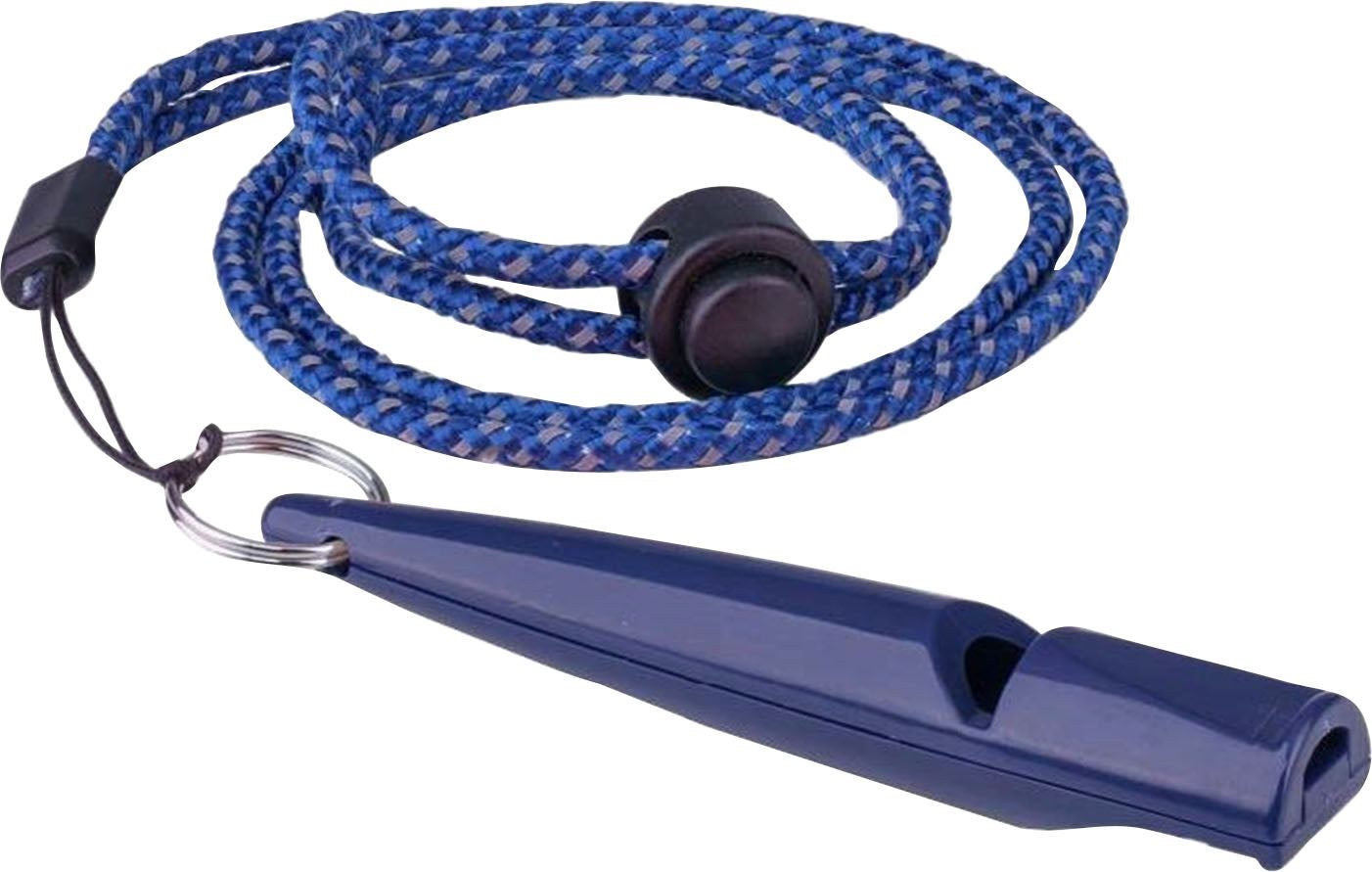 Coachi Training Whistle