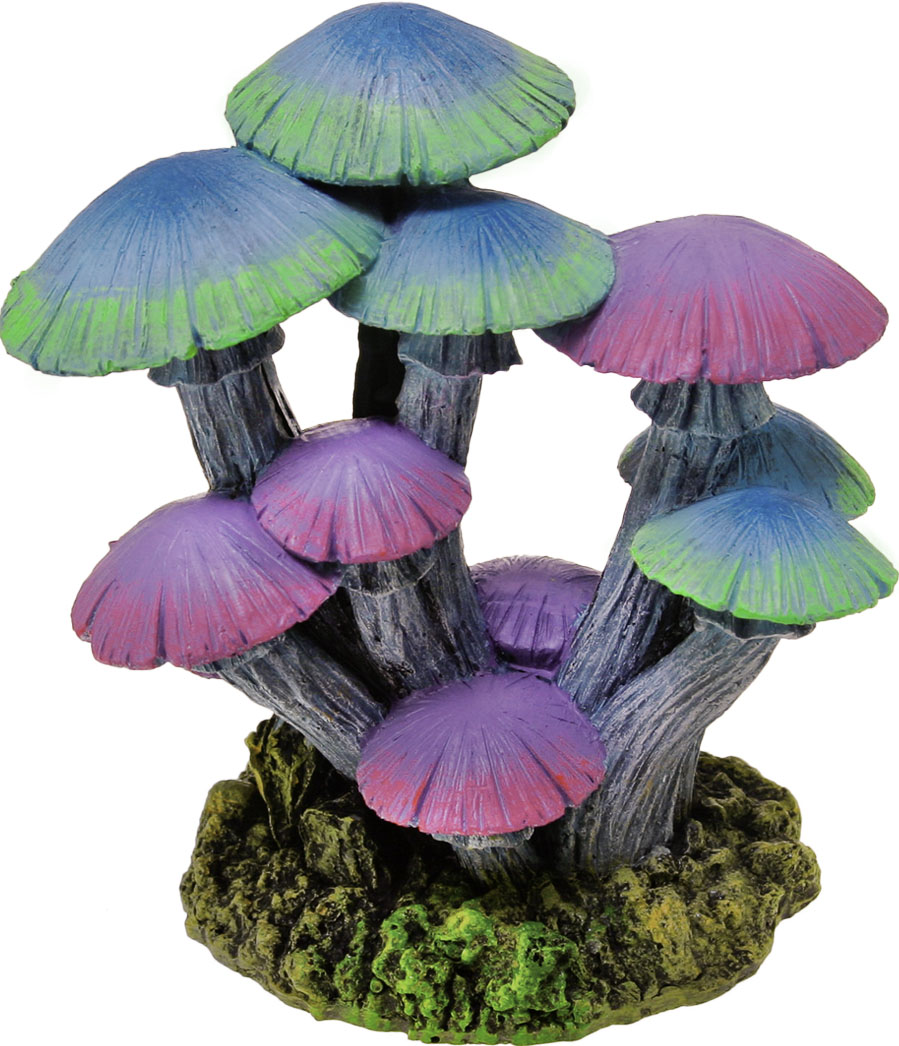 Exotic Environments Mushroom Garden